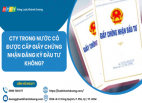 CÔNG TY TRONG NƯỚC CÓ ĐƯỢC CẤP GIẤY CHỨNG NHẬN ĐĂNG KÝ ĐẦU TƯ KHÔNG?