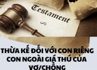 THỪA KẾ ĐỐI VỚI CON RIÊNG, CON NGOÀI GIÁ THÚ CỦA VỢ/ CHỒNG